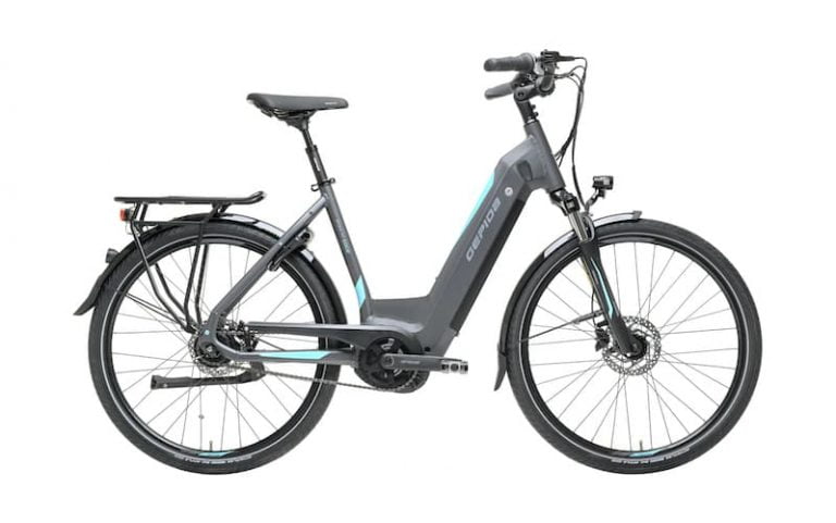 Gepida Ebike Bonum Edge Petit vélo électrique