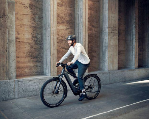 Riese and Muller electric bikes Delite